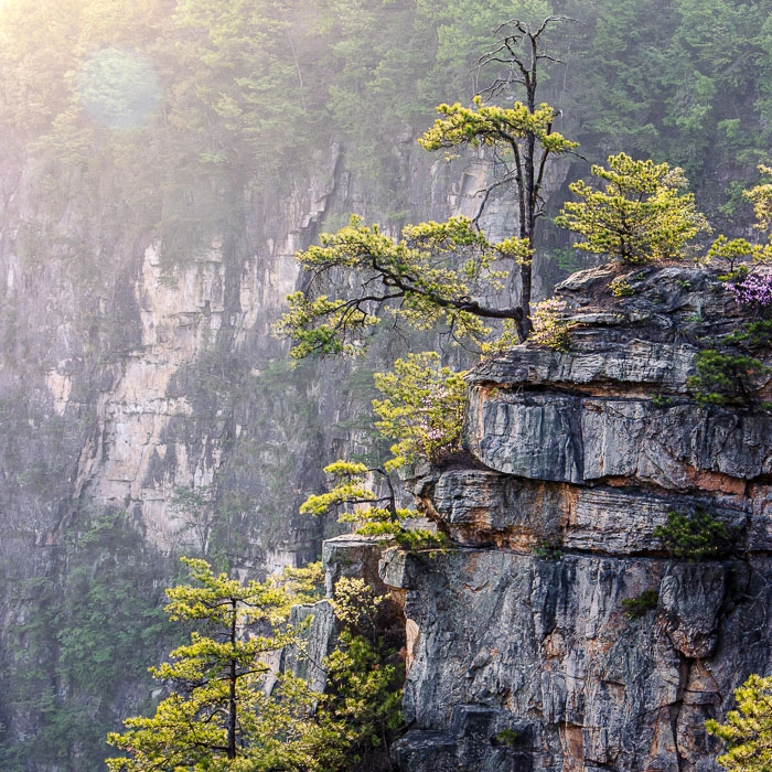 Zhangjiajie-6_thumb.webp